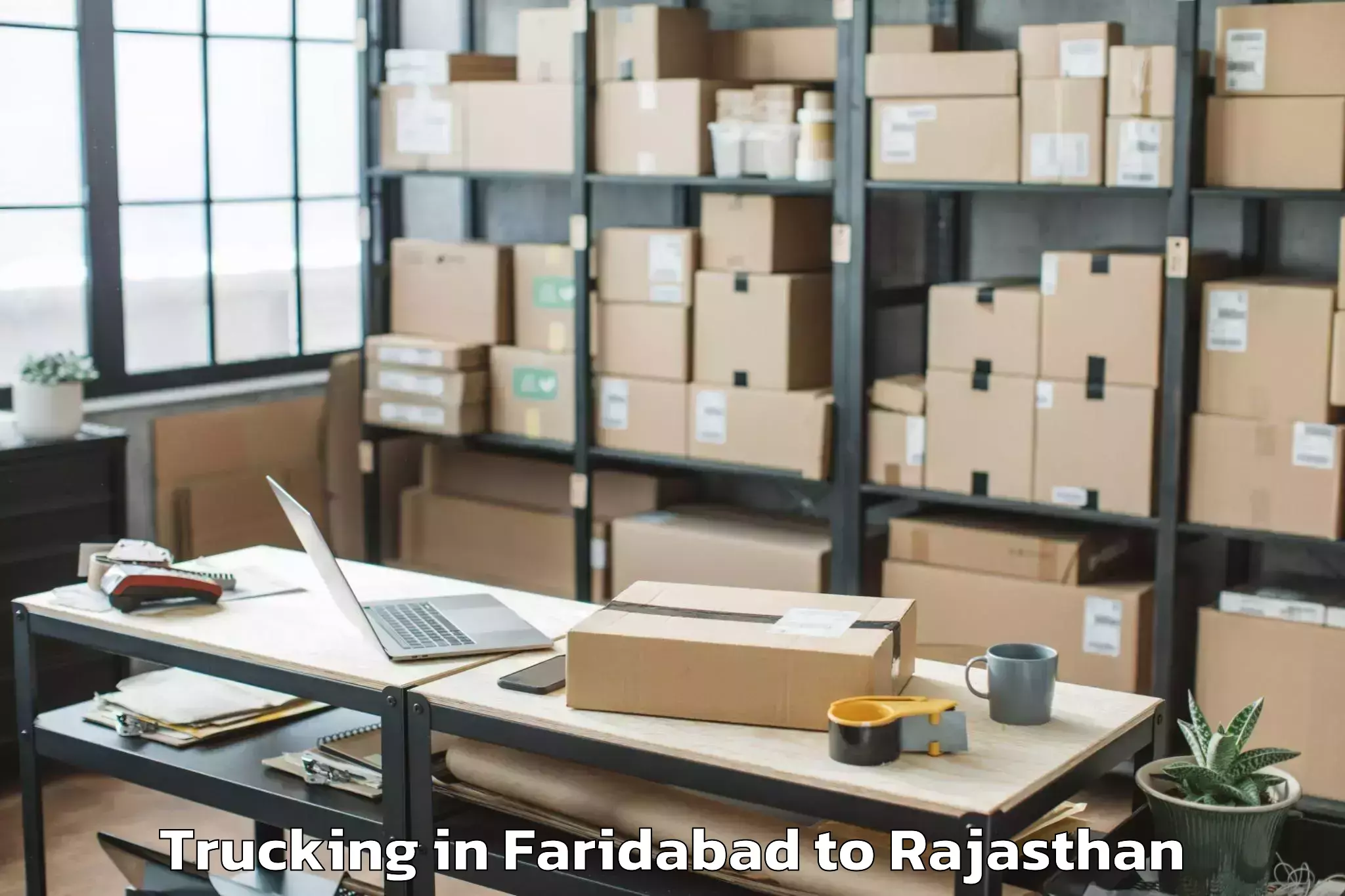 Professional Faridabad to Pushkar Trucking